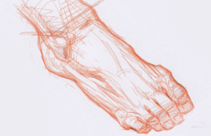 steve huston anatomy