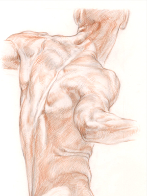 dynamic figure drawing