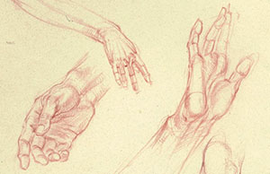 drawing manual glenn vilppu