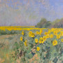 Sunflowers_Fenske_23x29_Oil_2015__9_800_1440096301